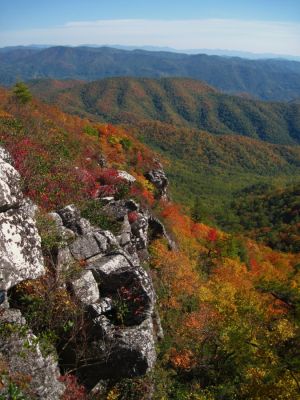 View From White Rocks Cliff, NC
October, 2011
