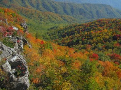 View From White Rocks Cliff, NC
October, 2011
