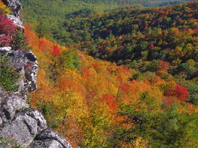 View From White Rocks Cliff, NC
October, 2011
