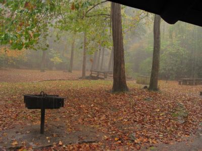 Rain At Laurels
picnic area.
Oct. 2011
