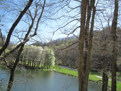 Pond
Near Elk River.
April, 2010
