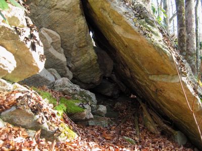 Rock Shelter
Near Fox Cabin/top of Phillips Hollow Trail,
11-12-2011 
