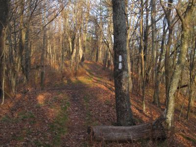 Ridge Trail
Appalachian Trail, Trail to Round Knob on the right.
11-12-2011 
