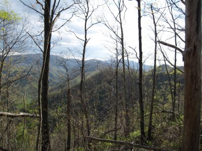 View from Sampson Mountain
View from Flattop.
April, 2010
