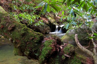 Cascades on Horse Creek
Horse Creek
12-3-2011 
