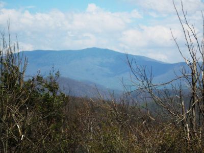 View From Beauty Spot
On Unaka Mountain...
Roan mountain in the distance.
May, 2010
