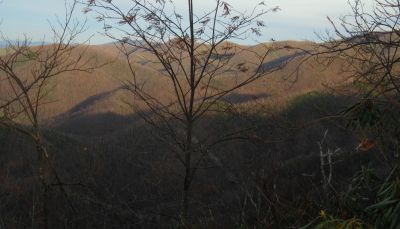 View From Turkey Pen Cove Trail
Looking out over Cassi Creek, Painter Creek, and Sampson Mountain.  Rich Mountain in the distance.
12-3-2011
