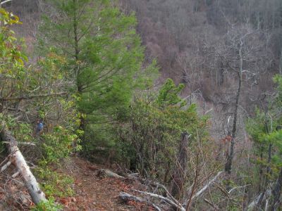 Turkey Pen Cove Trail
12-3-2011
