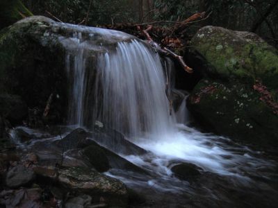 Cascades
Cascades on Squibb Creek Trail at dusk.
12-3-2011
