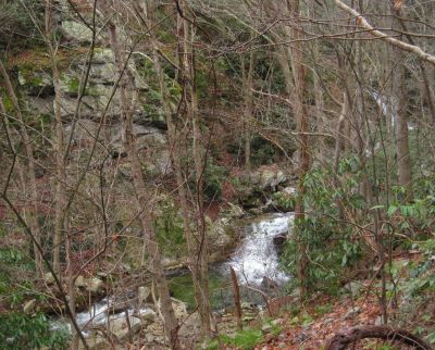 Devils Creek Cascades
Cascade #5,
December, 10, 2011
