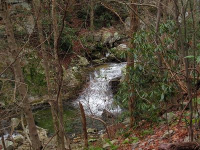 Devils Creek Cascades
Cascade #5,
December, 10, 2011
