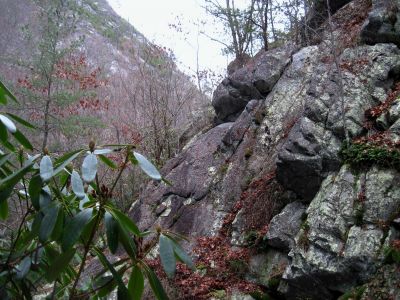 Devils Creek Cliffs
Cliff Faces above the Devils Creek Falls,
December, 10, 2011
