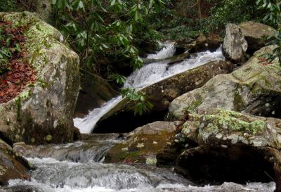 Devils Creek Cascades
Cascade #7,
December, 10, 2011
