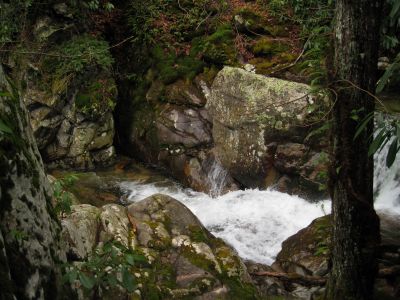 Devils Creek Falls
Top of Upper Falls, bottom part of Cascade #6
December, 10, 2011
