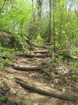 Trail to High Rocks, NC
May, 2010
