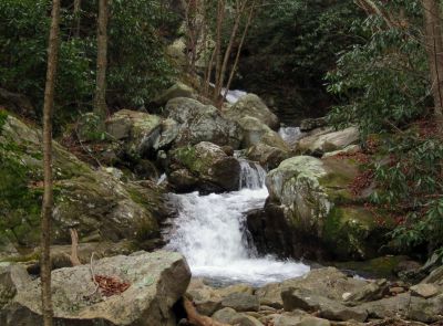 Devils Creek Cascades
Cascade #5,
December, 10, 2011
