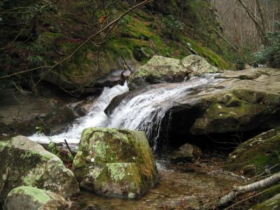 Devils Creek Cascades
Lower part of Cascade #4,
December, 10, 2011
