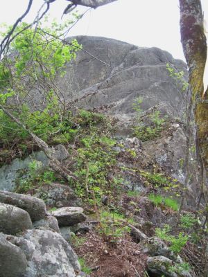 High Rocks, NC
...another angle looking at the enormous rock on top of the ridge.  May, 2010
