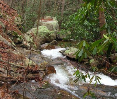 Devils Creek Cascades
Looking downstream to top of Cascade #3,
December, 10, 2011
