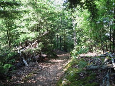 Cliff Ridge
May, 2010
