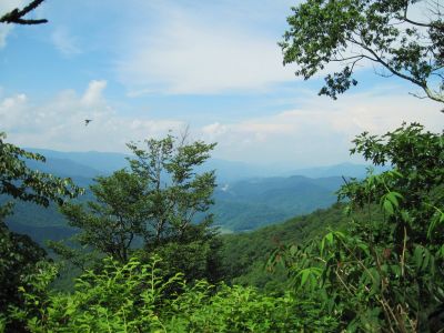 View From Hogback Ridge
June, 2010
