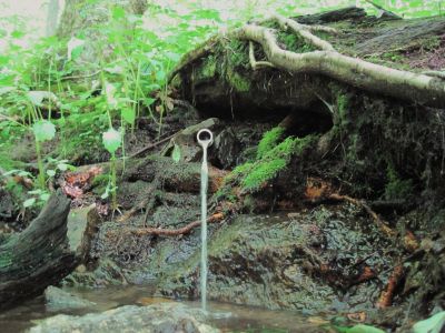 Spring at Hogback Ridge
June, 2010
