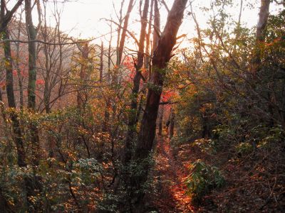 Middle Spring Ridge Trail
Middle Spring Ridge Trail,
December 17, 2011
