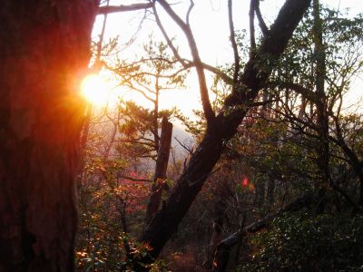 Sunset
...On the Middle Spring Ridge Trail,
December 17, 2011
