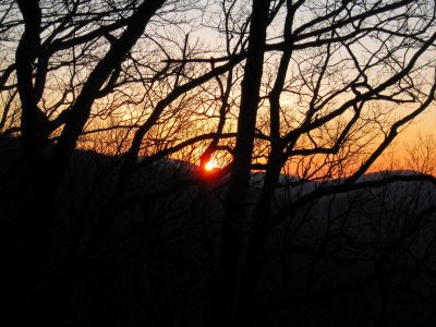 Sunset
December 17, 2011
