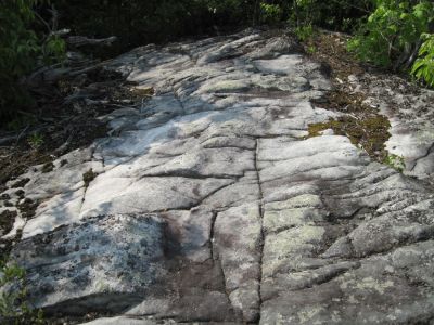 Weathered Cliff-top Rock
White Rock Cliffs, Buffalo Mountain,
June, 2010
