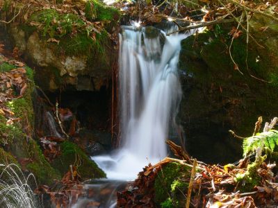 Small Waterfall
Part of the 'Phantom Trace' series of waterfalls on Unaka Mountain, 11-14-2015
