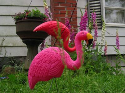 Yard Flamingos
2017
