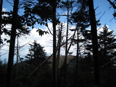 Round Bald
View from High Knob Trail,
Roan Mountain
July, 2010
