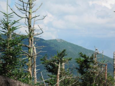 Knob on Grassy Ridge
Roan Mountain...view from the High Knob Trail.
July, 2010
