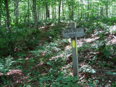 Start of the Green Ridge Trail
On Coldspring Mountain
August, 2010
