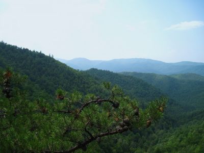 Jones Branch Overlook
View...
August, 2010
