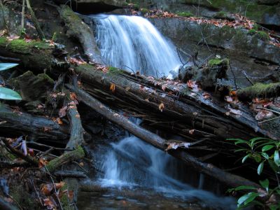 Cascade
Part of the 'Phantom Trace' series of waterfalls on Unaka Mountain, 11-14-2015
