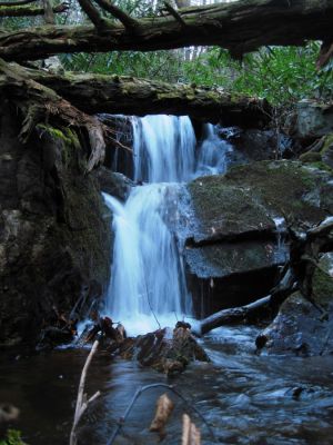 Cascade
Part of the 'Phantom Trace' series of waterfalls on Unaka Mountain, 11-14-2015
