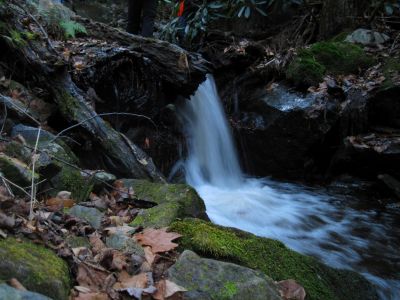 Small Cascade
Part of the 'Phantom Trace' series of waterfalls on Unaka Mountain, 11-14-2015
