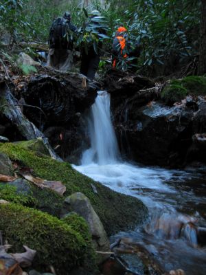 Expeditioners and Cascade
Expeditioners on the  'Phantom Trace' series of waterfalls on Unaka Mountain, 11-14-2015
