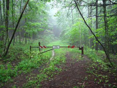 Devils Creek Gap
Closed Forest Service Road in the fog.
August, 2010
