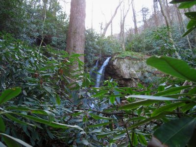 Upper Slot Canyon Falls
Upper Slot Canyon Falls as seen from the laurel hells that surround her. 

11-21-2015
