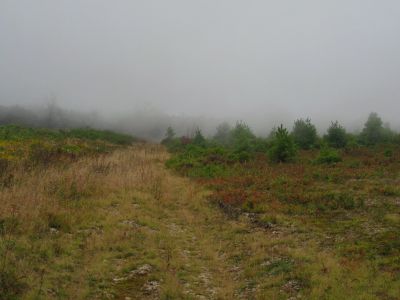 View From Camp
Big Bald Meadows
Rat's Birthday Hike, 2013
Evening, Day 2
