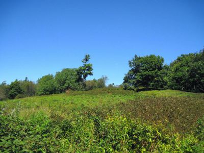 Meadow on Coldspring Mountain
September, 2010
