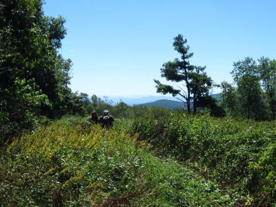 View from the Meadow on Coldspring Mountain
Rat Patrol and Tyler 'coping visuals'.
Coldspring Mountain,
September, 2010

