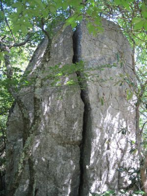The ol' Cracked Boulder-Rock
I fell off this...
2 sprained ankles and 6 miles back to the truck. 
fun.
Coldspring Mountain,
September, 2010
