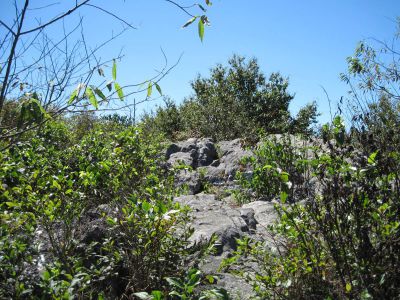 The 'Big Rock'
at 'Big Butte' elevation 4,838
Coldspring Mountain,
September, 2010
