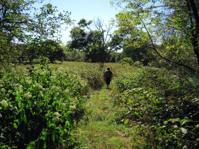 Meadow on Coldspring Mountain
Tyler trekking through the upland meadow,
Coldspring Mountain,
September, 2010
