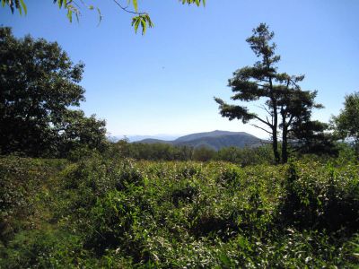 View from the Meadow on Coldspring Mountain
Viking Mountain in the distance,
Coldspring Mountain,
September, 2010
