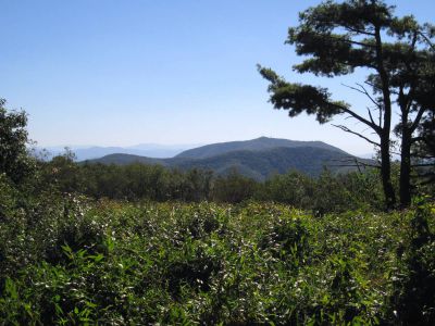 View from the Meadow on Coldspring Mountain
(slight zoom) Viking Mountain in the distance.
Coldspring Mountain,
September, 2010
